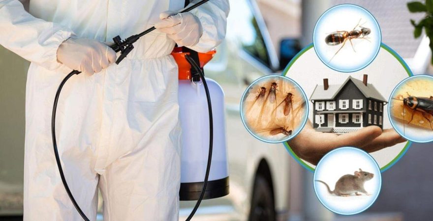 İvrindi Böcek İlaçlama