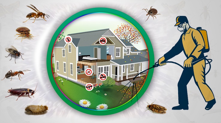 İvrindi Böcek İlaçlama