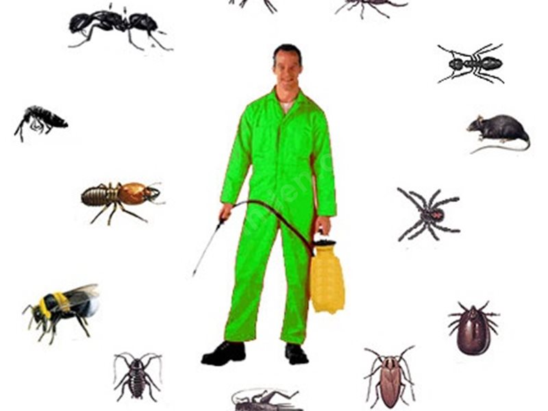 İvrindi Böcek İlaçlama